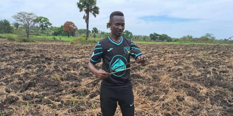Asiki Moses, a large-scale farmer in Morobo, inspects his farm after plowing. (Photo: Radio Tamazuj)