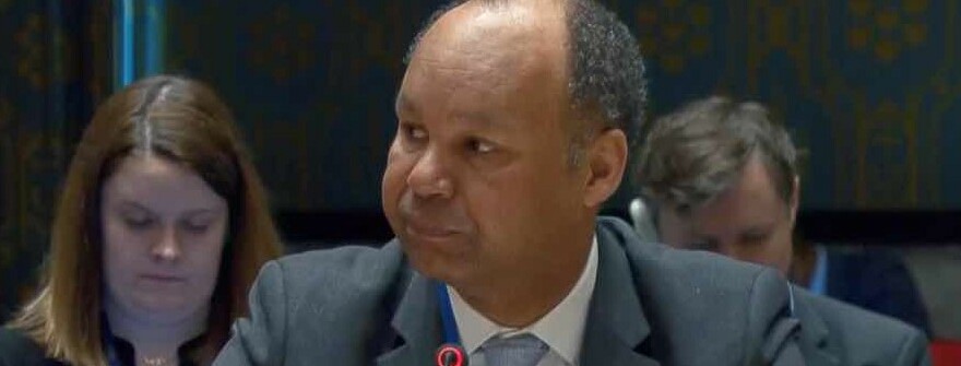 The Deputy Permanent Representative of the United Kingdom Mission to the UN in New York, James Kariuki, addressed the UNSC on Tuesday. (Credit: UN)