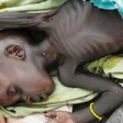 A past picture of a child dying of starvation in the Nuba Mountains. (Courtesy photo)