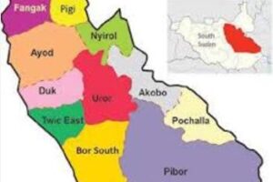 Errant SSPDF commander ordered to leave Uror after clashes