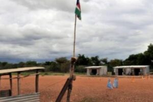 SSPDF arrests 14 Warrap tax officials for staging illegal roadblock