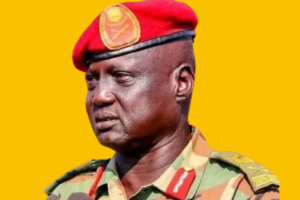 SSPDF commander, UN crew killed in Nasir