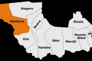 Tambura Hospital workers strike over pay