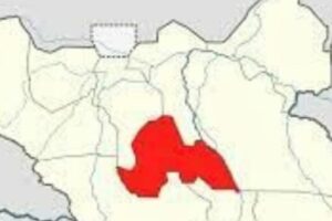 Wulu county commissioner suspended by governor