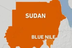 Rights concerns mount following arrest of civilians in Blue Nile