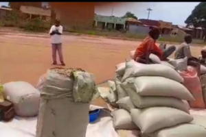 W. Equatoria farmers urged to form cooperatives