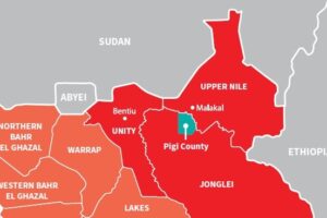 SSPDF fends off White Army, SPLA-IO attack on Pigi County headquarters