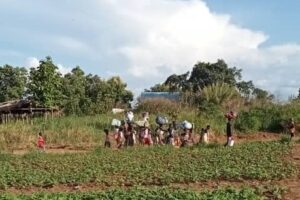 Families flee fighting in Morobo villages