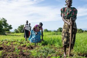 N. Bahr el Ghazal farmers decry lack of agricultural inputs