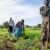 N. Bahr el Ghazal farmers decry lack of agricultural inputs