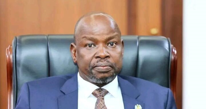 Kiir appoints ally Bol Mel as deputy ruling party leader
