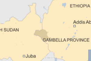 SSPDF takes control of border with Ethiopia