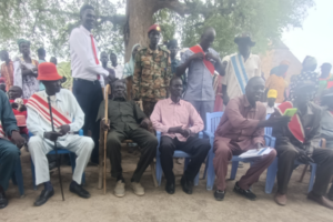 State MPs launch peace conference in Mayom County