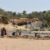 3 killed in gold mine collapse in Eastern Equatoria