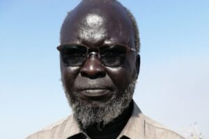 Upper Nile governor suspends Panyikang county commissioner