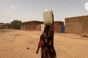 “العطش يقتل آلاف الأشجار شمال السودان” 