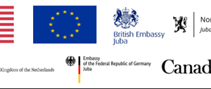 Western embassies, EU condemn bombing of civilians, MSF hospital in Old Fangak