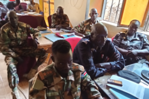 UNMISS, DDR Commission trains 50 participants against child abuse in Aweil