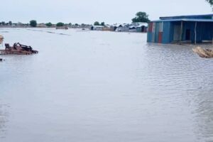Torrential rainfall displaces over 1,000 households in Mayendit