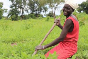 Opinion| Embracing Climate-Smart Agriculture the way to a sustainable future