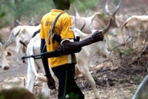 16 killed, 16 wounded in Tonj South County