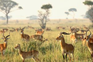 Opinion| Let us embrace unity and equity in use of our natural resources