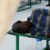4 die as 107 cholera cases recorded in Torit