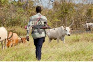 15 killed in bloody Tonj North cattle raid