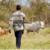 15 killed in bloody Tonj North cattle raid