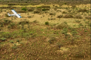 South Sudan celebrates second anniversary of Great Nile Landscape Success