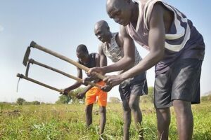 Abyei authorities warn of looming hunger