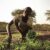 Magwi farmers fear poor harvest as dry spell hits county