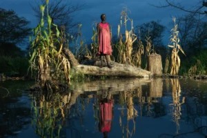 FAO, WFP warn of worsening food insecurity in South Sudan
