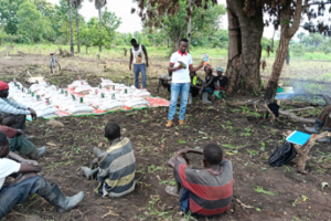 Germany distributes seeds to 1,000 farmers in Yei, Magwi