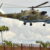 Renewed SSPDF/UPDF aerial bombardment injures 10 people, kills 35 cows in Panyijiar