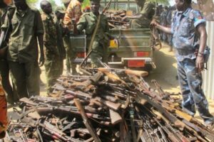 Mayom local leaders welcome SSPDF disarmament exercise, but warn of approach