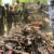 Over 4,000 guns surrendered in Warrap’s Tonj East