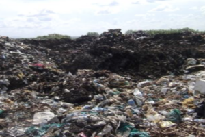 Opinion| Saving the environment is a collective responsibility