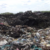 Opinion| Saving the environment is a collective responsibility
