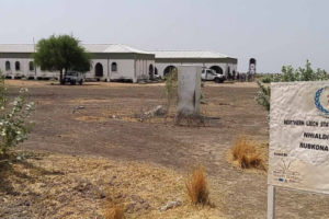 10 primary health centers closed in Rubkona County