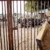 N. Bahr el Ghazal teachers want 8 colleagues released from prison