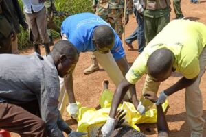 Kenyan engineer killed, another missing after ambush in South Sudan