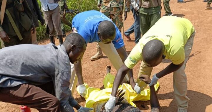Kenyan engineer killed, another missing after ambush in South Sudan