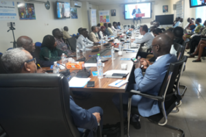 UN hosts climate watch party in Juba to promote green energy