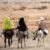 MSF warns of ethnic cleansing threat in North Darfur