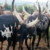 Ugandan army expels South Sudanese herders from Northern Uganda