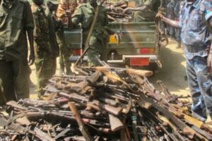 Warrap governor orders forceful disarmament