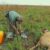South Sudan, partners call for global support to protect wildlife