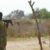 Humanitarian truck driver shot in Mundri East ambush