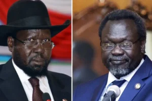 UN sanctions committee warns South Sudan over stalled peace deal